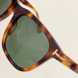 Picture of Tom Ford Sunglasses _SKUfw52079470fw